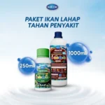 05.AC250-MO1000