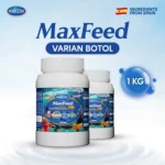 1000gr
