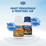 PX+MO 100