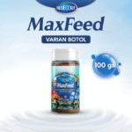 100gr