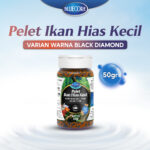 038.black50gr